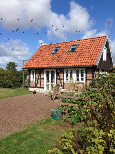 a house with an orange roof with birds flying at Hönshuset Kullabygden in Höganäs
