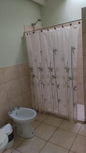 uma casa de banho com uma cortina de chuveiro, um WC e um lavatório. em Solar Del Valle em Zonda