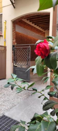 Santarella Guest House photo 15