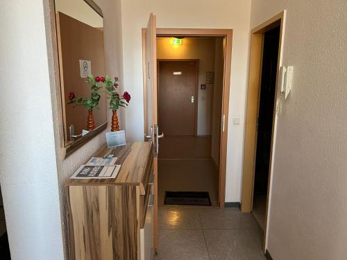 ein Bad mit einem Waschbecken und einem Spiegel sowie einem Flur in der Unterkunft Ferienwohnung Mainz Bahnhof in Mainz