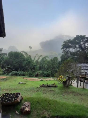 a view of a field with trees and a mountain at Espaço inteiro: Casa de campo nas montanhas in Domingos Martins