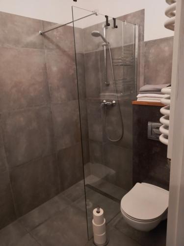 La salle de bains est pourvue d'une cabine de douche et de toilettes. dans l'établissement Apartament Marco, à Koszalin