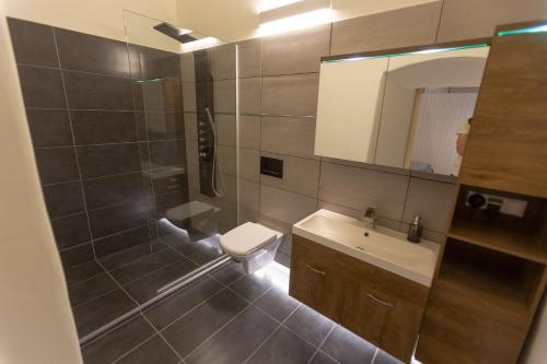 a bathroom with a shower and a toilet and a sink at Ferien- und Pferdegut Schloss Treffen in Görtschach
