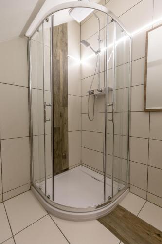 a shower with a glass door in a bathroom at Ferien- und Pferdegut Schloss Treffen in Görtschach