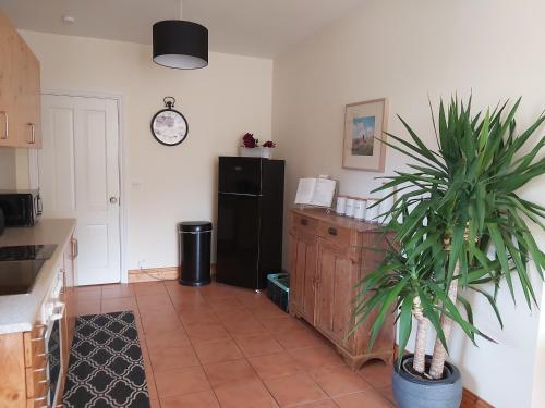 a kitchen with a black refrigerator and a potted plant at Shanakeever Farm - 2 Bedroom Apartment in Clifden