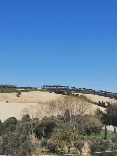 a view of a field from a hill with trees at Il Piacere in Pineto