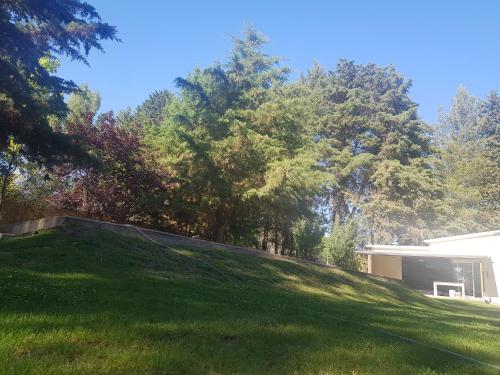 Tiny House Los Pinos – Photos 5
