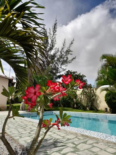 a pool with red flowers next to a palm tree at Pousada Vale Encantado in Serra de São Bento