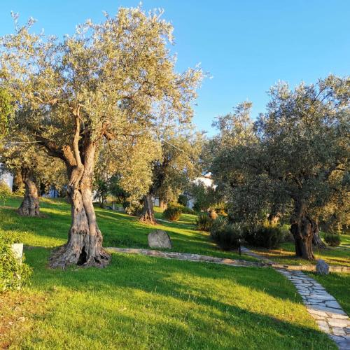 a path through a park with trees and grass at Saint Andrews Bay in Milína