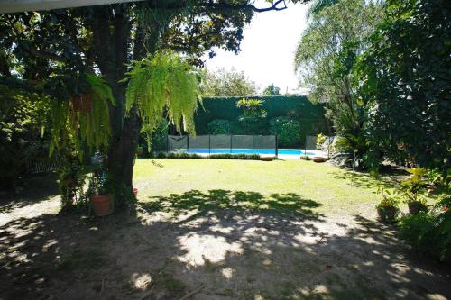 a yard with a tree and a swimming pool at La Casita de Yerba Buena in Marcos Paz
