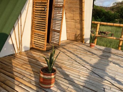 a potted plant sitting on a wooden deck at Valle Luna in Tocaima