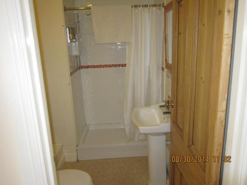 a bathroom with a shower and a toilet and a sink at Queen Mary Inn in Poole