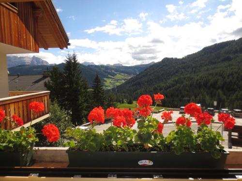 a bunch of red flowers in a pot on a balcony at Hotel Borest in Colfosco