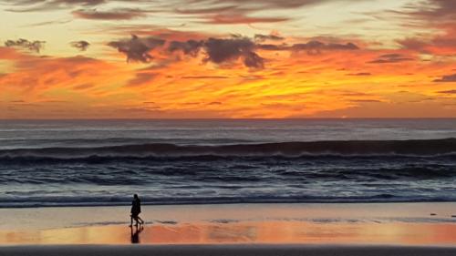 a person walking on the beach at sunset at Outrigger Burleigh in Gold Coast