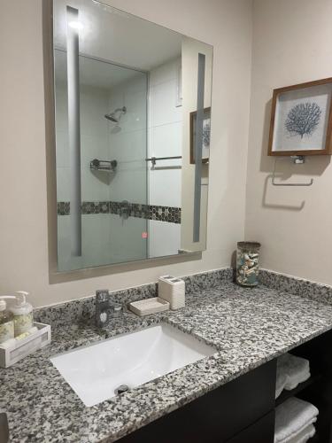 uma casa de banho com um lavatório e um espelho grande em Bayfront Villa & Apartment em Portmore