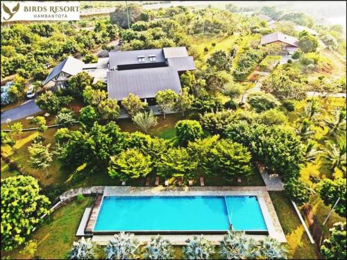Bazén v ubytování Birds Resort Hambantota nebo v jeho okolí