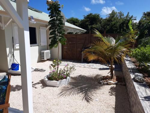 a backyard with two palm trees and a fence at Villa Fleur de Lys in Sainte-Anne