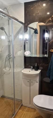 a bathroom with a shower and a sink and a toilet at Apartament Pod Stokiem in Przemyśl