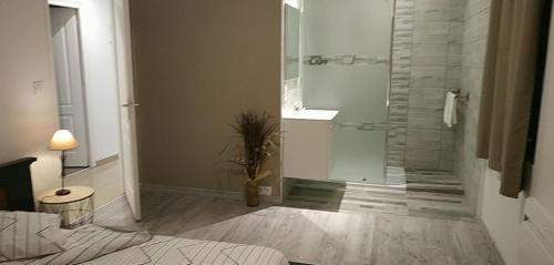 La salle de bains est pourvue d'une douche en verre avec une plante. dans l'établissement Le pâtureau d'en haut, à Gièvres