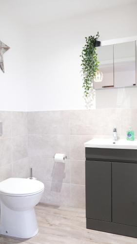 a bathroom with a white toilet and a sink at Bedford Town Centre & Elegant Apartment inc PRIVATE Parking in Bedford