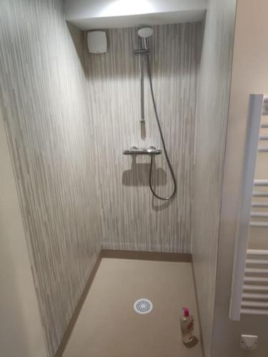 une salle de bain avec douche et toilettes dans l'établissement Gîte L' Escale Ponote - Centre ville - Appart 90m2, au Puy-en-Velay