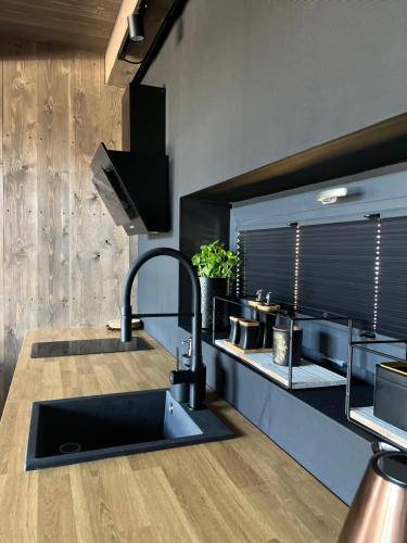 a kitchen with a sink and a counter top at Wimer Domki in Wysowa-Zdrój