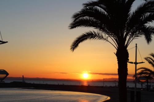 - un coucher de soleil sur la plage avec un palmier dans l'établissement La Croix du Sud superbe appartement en duplex 2 chambres vue mer, au Grau-du-Roi
