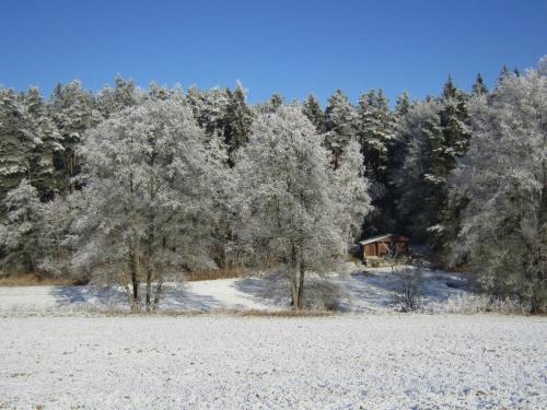 ein schneebedecktes Feld mit Bäumen und einer Hütte im Hintergrund in der Unterkunft Chata - Na samotě u lesa in Levín
