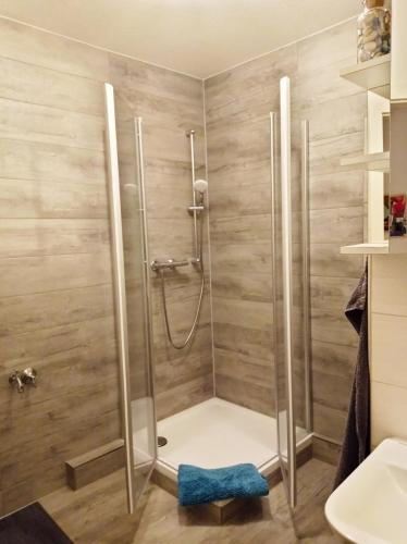 a shower in a bathroom with wooden walls at Ferienwohnungen am StadtPark Görlitz in Görlitz
