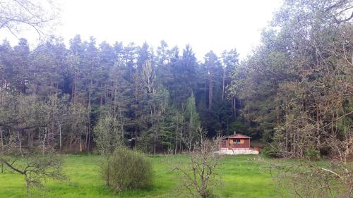 Naturlandschaft in der Nähe des Ferienhauses