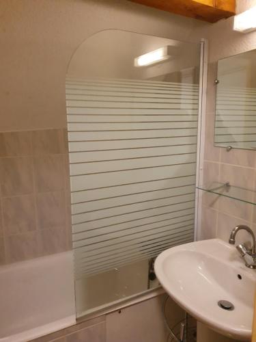 a bathroom with a sink and a shower at Résidence Le Martinan in Saint-Colomban-des-Villards