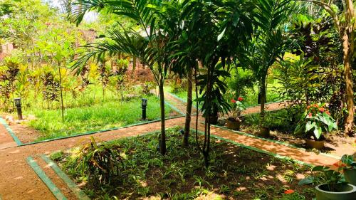a garden with a couple of palm trees in it at Sigiri Starwing Villa in Sigiriya