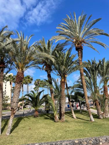 Las Piteras One Bedroom Apartment With Pool in Playa de las Americas