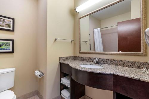 Ένα μπάνιο στο Comfort Inn & Suites Scott-West Lafayette