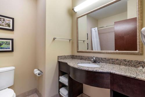 Foto dalla galleria di Comfort Inn & Suites Scott-West Lafayette a Scott