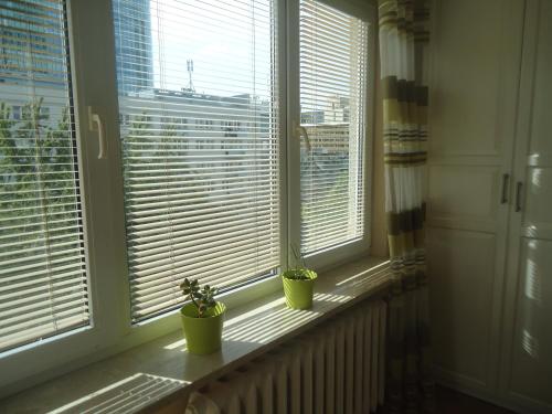 two plants sitting on a window sill in a room at Studio Green in Warsaw