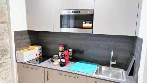 un comptoir de cuisine avec un évier et un micro-ondes dans l'établissement hypercentre lamartine 001, à Nice