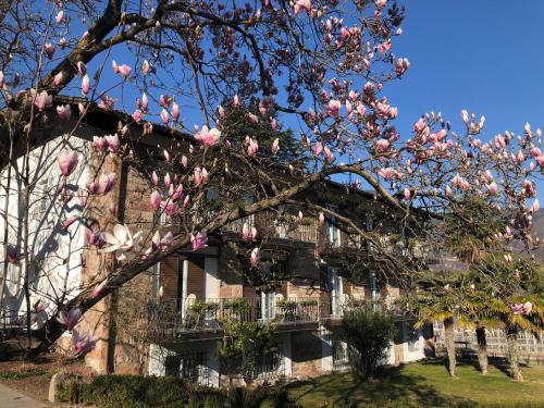 Pension Zeder – Photos 2