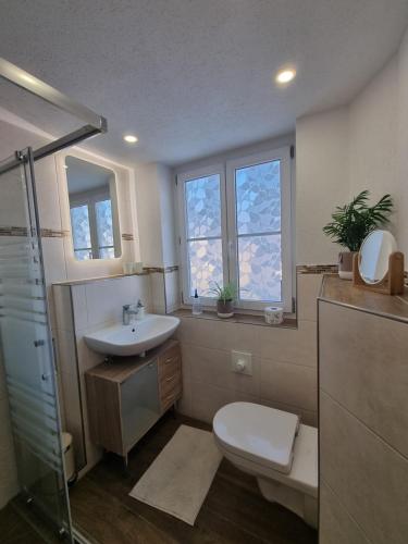 ein Bad mit einem WC und einem Waschbecken in der Unterkunft Ferienwohnung BERGLIEBE in Nesselwang