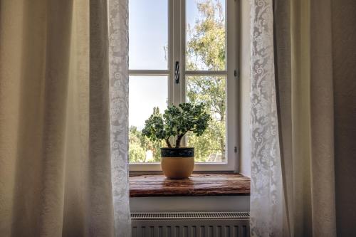 Fotografie z fotogalerie ubytování Winzarei, Weingut Tement v destinaci Berghausen