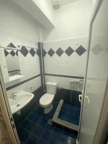 a bathroom with a toilet and a sink and a shower at Villa Matina in Leptokarya