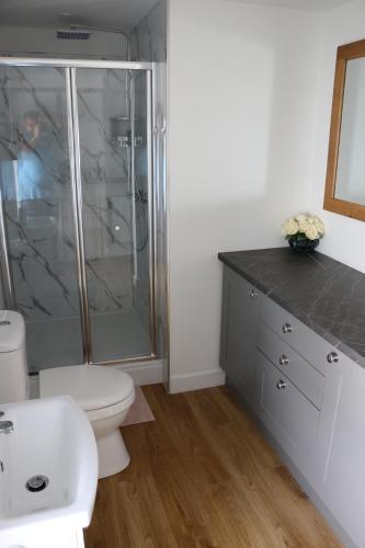 Un baño con ducha, inodoro y lavabo. en Ty Nant Little Haven, en Little Haven