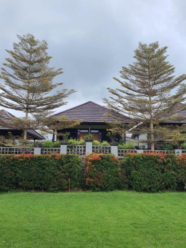 two trees in front of a house with a yard at Nusantara Hotel Sembalun in Sembalun Lawang