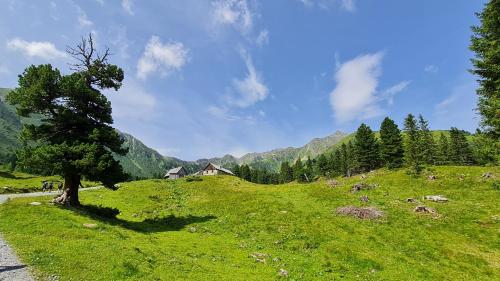 a green hill with a tree and a house on it at Haus Emmy - Urlaub bei Freunden in Hohentauern