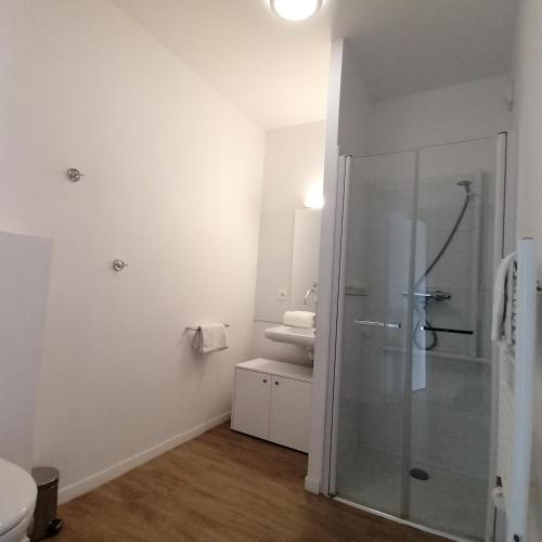 une salle de bain avec une douche, des toilettes et un lavabo dans l'établissement Appart-Hotel Mer & Golf City Ile de Nantes, à Nantes