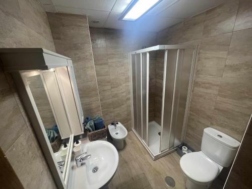 ein Badezimmer mit Toilette, Dusche und Waschbecken in der Unterkunft Grupo Gontad Apartamento Travesía da Agra in A Coruña