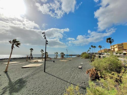 une plage de sable avec des palmiers et l'océan dans l'établissement Playa Arena Apartment, à Araya