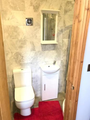 a bathroom with a toilet and a sink and a mirror at Holywell Grange Farm in Whitley Bay
