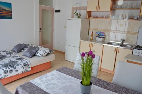 Kuchyň nebo kuchyňský kout v ubytování Apartments Davorka