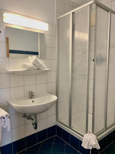 a bathroom with a sink and a shower at Appartmentanlage Isegrim in Altenmarkt im Pongau